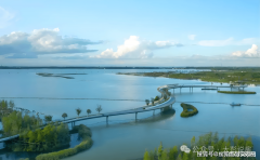 通、健康、教育、贸易、物业五大糊口办事平台